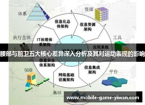 腰部与前卫五大核心差异深入分析及其对运动表现的影响