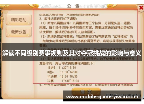 解读不同级别赛事规则及其对夺冠挑战的影响与意义
