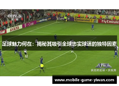 足球魅力何在：揭秘其吸引全球忠实球迷的独特因素