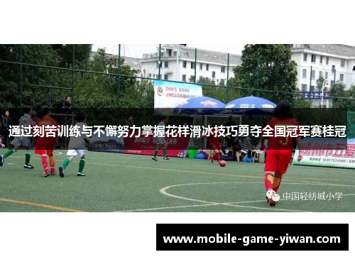 通过刻苦训练与不懈努力掌握花样滑冰技巧勇夺全国冠军赛桂冠