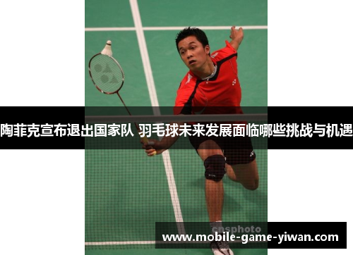 陶菲克宣布退出国家队 羽毛球未来发展面临哪些挑战与机遇