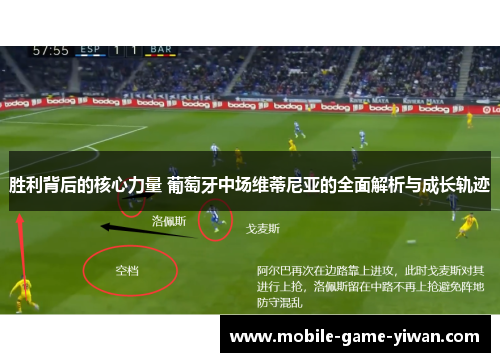 胜利背后的核心力量 葡萄牙中场维蒂尼亚的全面解析与成长轨迹