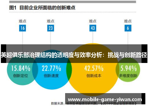 英超俱乐部治理结构的透明度与效率分析：挑战与创新路径